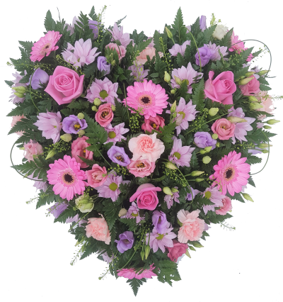 Open Design Pink Heart - A classic heart-shaped Funeral tribute designed using Pink Rose, Pink Gerbera , nestled between an abundance of mixed foliage and eucalyptus.