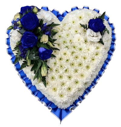 Massed Heart - Blue - A beautiful heart made from white double chrysanthemums edged in a Royal Blue and white pleated ribbon with a spray of Blue Vendela roses and white lisianthus