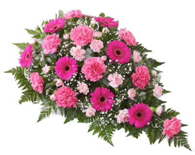 Carnation and Gerbera Teardrop Spray - Pink - Carnation and Gerbera Teardrop Spray, Pink, This floral tribute includes a generous selection of fresh carnations, spray carnations and gerbera, all in distinctive shades of pink