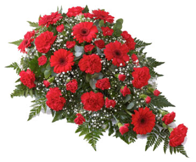 Carnation and Gerbera Teardrop Spray - Red - Carnation and Gerbera Teardrop Spray - Red - This striking floral tribute includes a generous selection of fresh carnations, spray carnations and gerbera, all in a distinctive shade of red